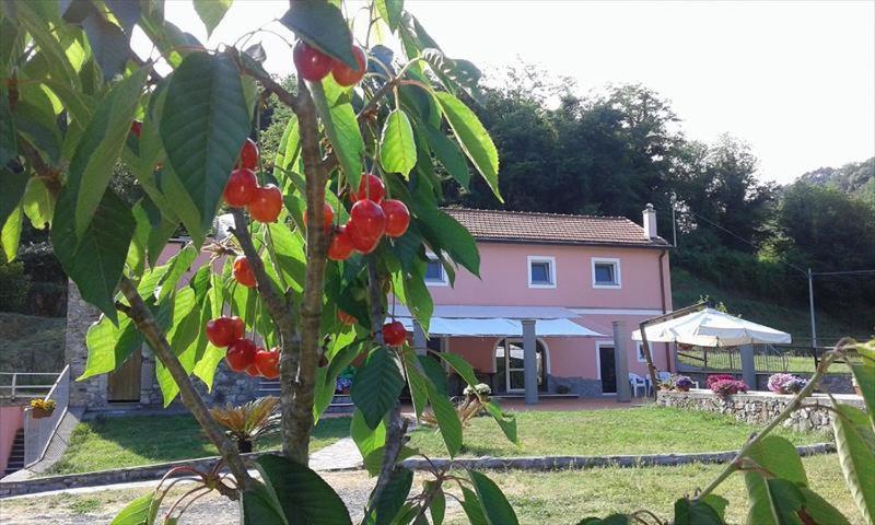 B&B La Casina Rosa La Spezia Valeriano Lunense Ngoại thất bức ảnh
