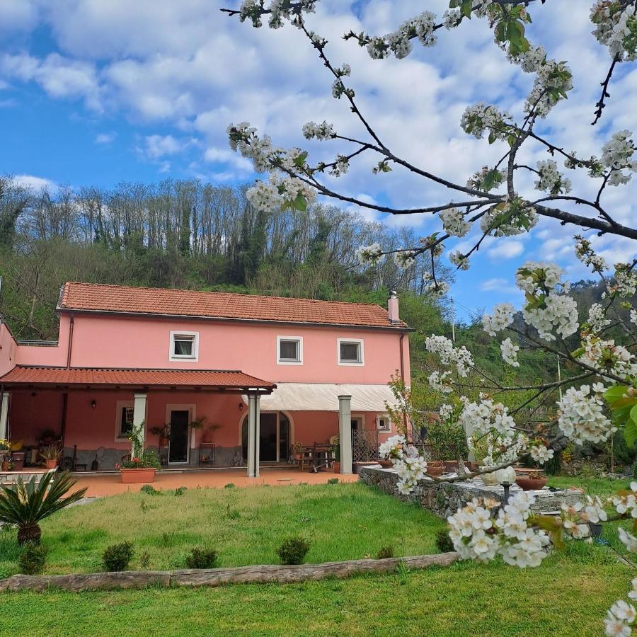 B&B La Casina Rosa La Spezia Valeriano Lunense Ngoại thất bức ảnh